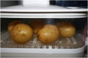 Картошка в мундире в пароварке