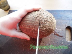Трещина на скорлупе кокоса